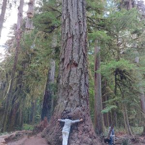 BC_Canada_8