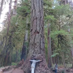 BC_Canada_8