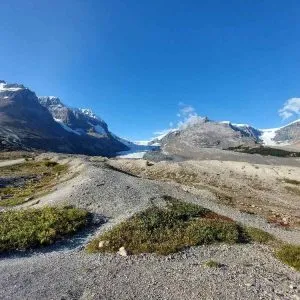BCcanada_8