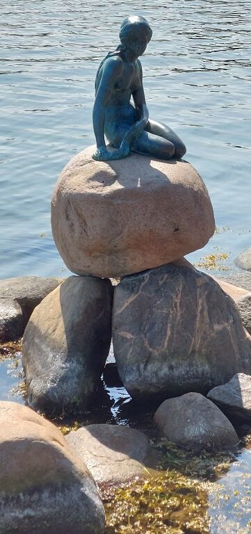 2024-05-25-12h46m23-1_800x361