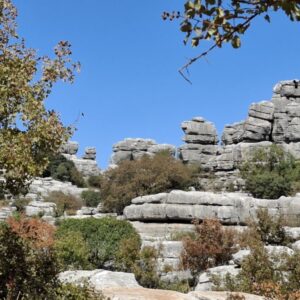 2025-09-16-13h16m52_800x600