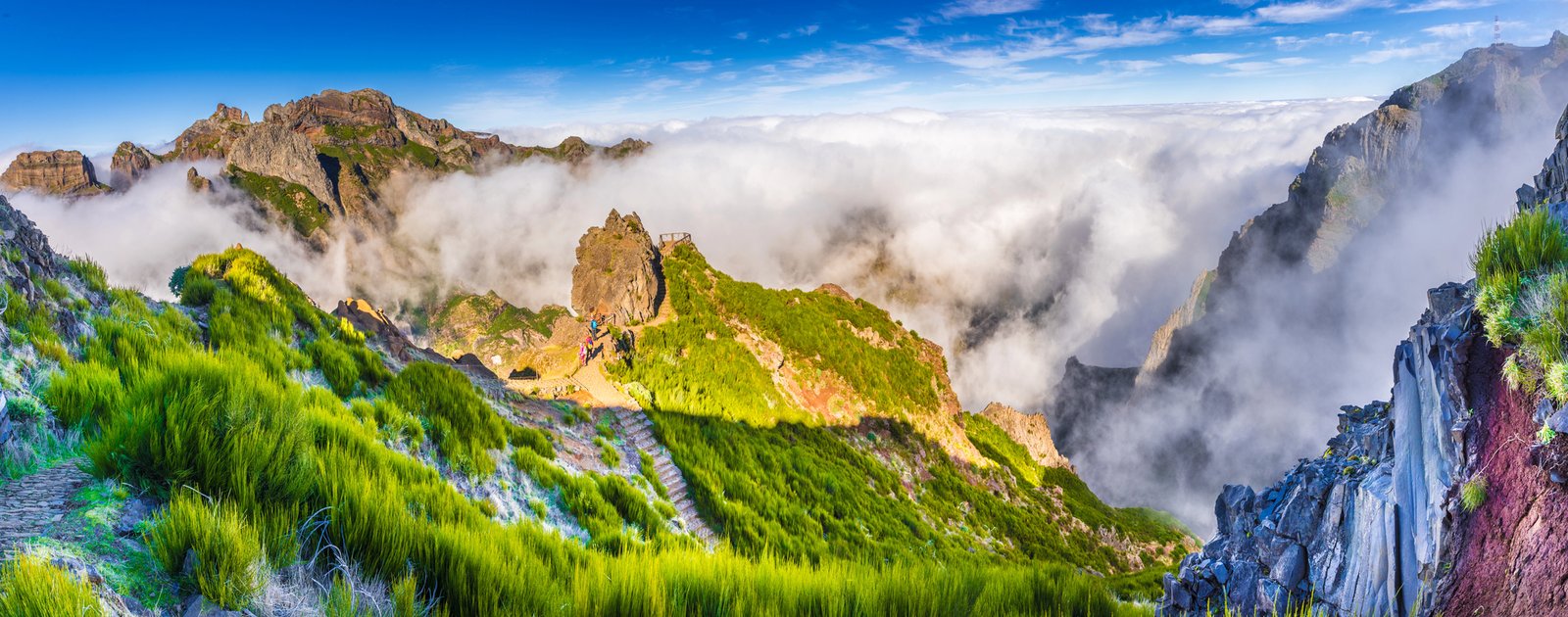 depositphotos 387740178 l